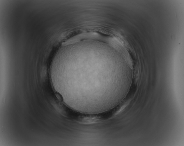 X0000086770213200705041514