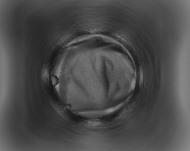 X0000086770214200705041514
