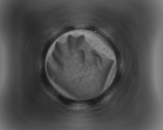 X0000086770215200705041514