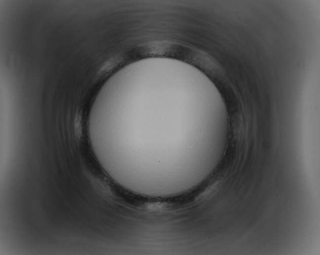 X0000086770216200705041514