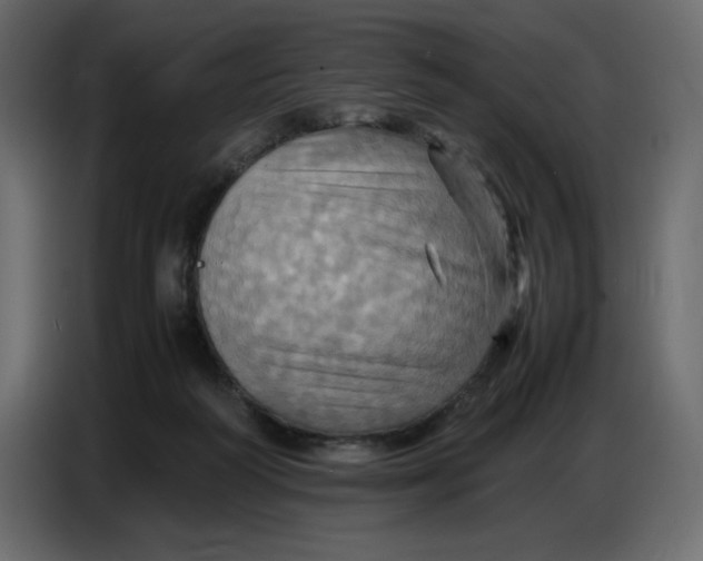 X0000086770218200705041514