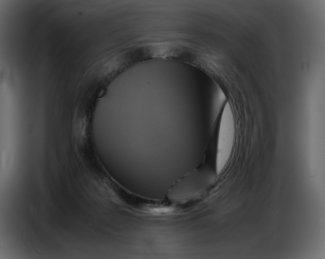 X0000086770219200705041514