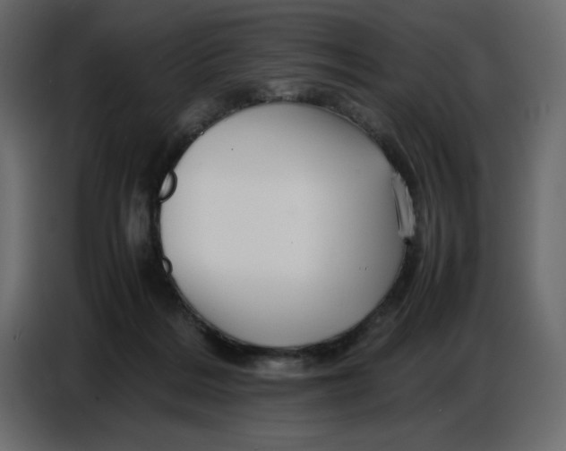 X0000086770220200705041514