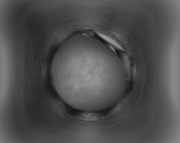 X0000086770221200705041514