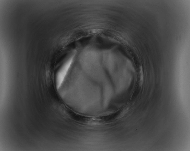 X0000086770222200705041514