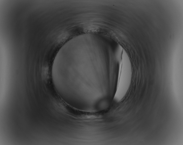 X0000086770224200705041514