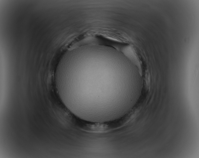 X0000086770225200705041514