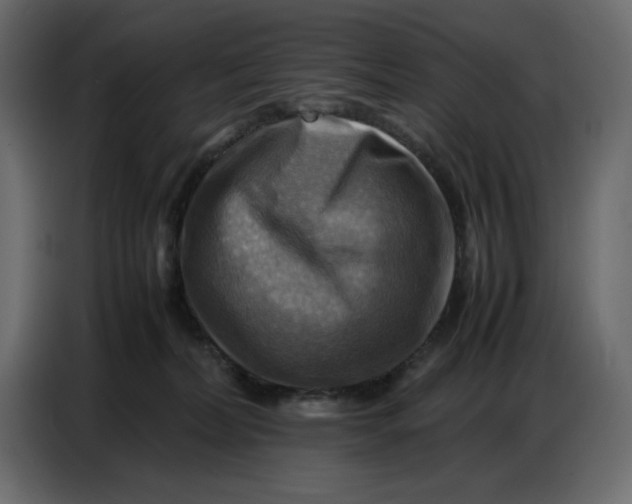 X0000086770228200705041514