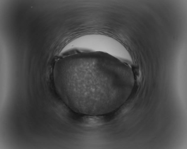 X0000086770229200705041514