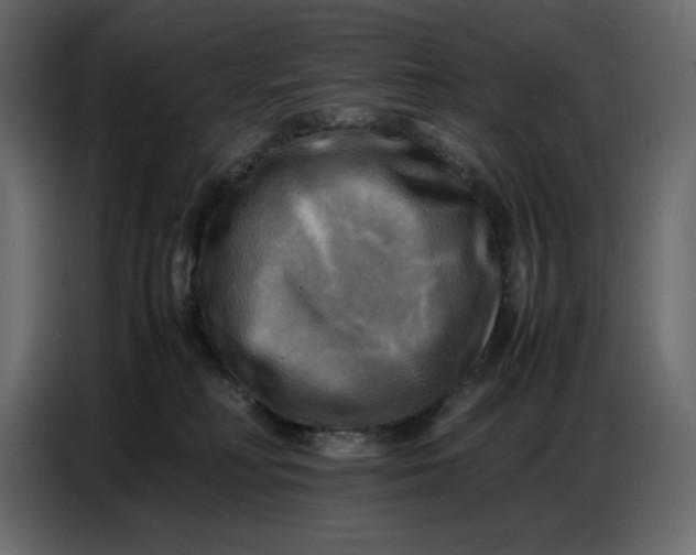 X0000086770230200705041514