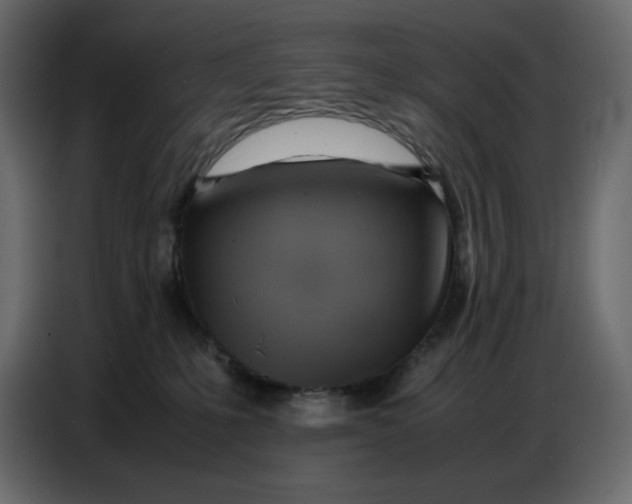X0000086770231200705041514