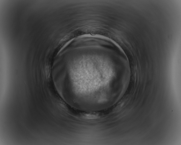 X0000086770232200705041514