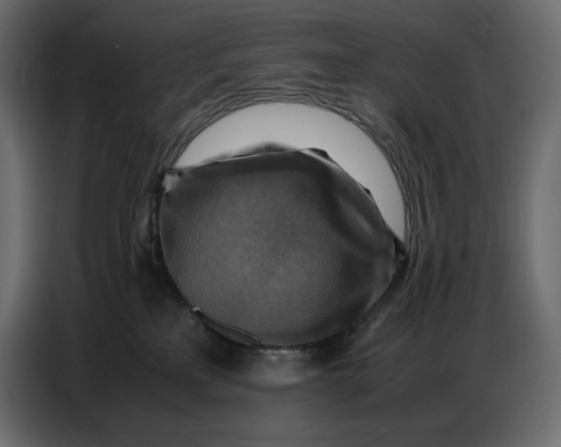 X0000086770233200705041514