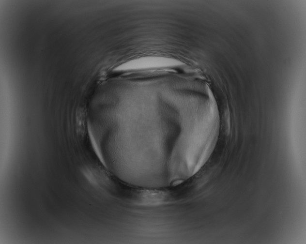 X0000086770234200705041514