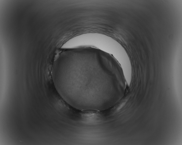 X0000086770237200705041514