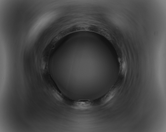 X0000086770239200705041514