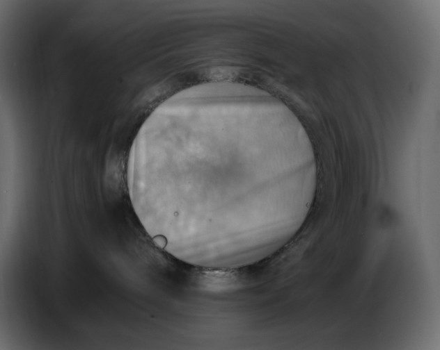 X0000086770240200705041514