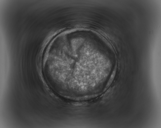 X0000086770241200705041513