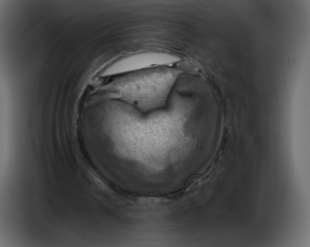 X0000086770242200705041513