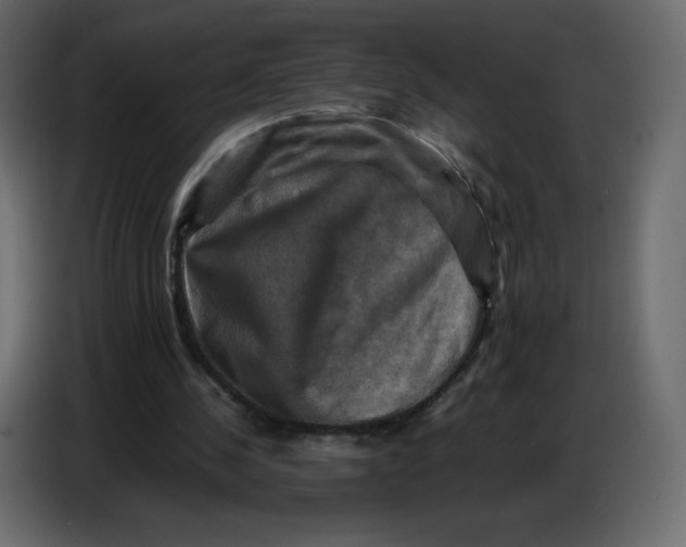 X0000086770244200705041513