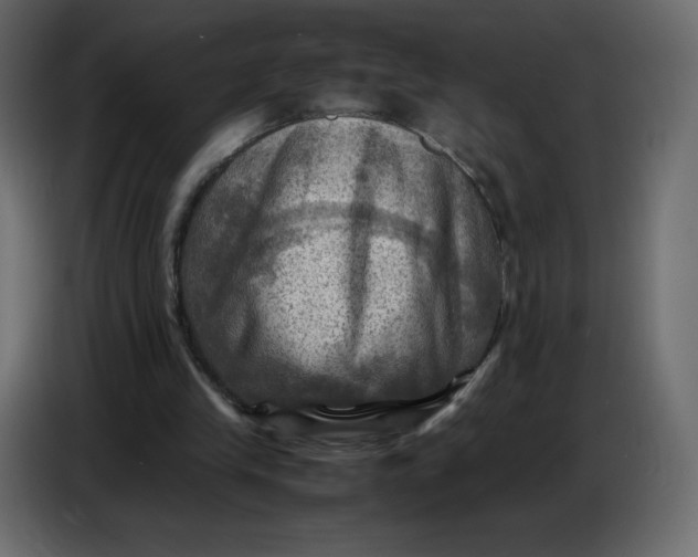 X0000086770245200705041513