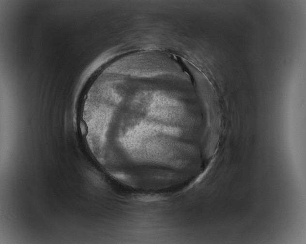 X0000086770246200705041513