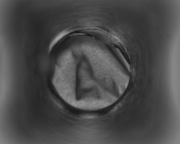 X0000086770248200705041513