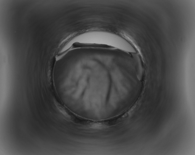 X0000086770249200705041514