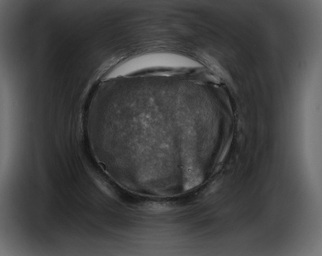 X0000086770250200705041514