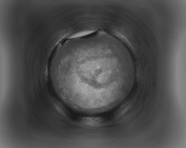 X0000086770251200705041514