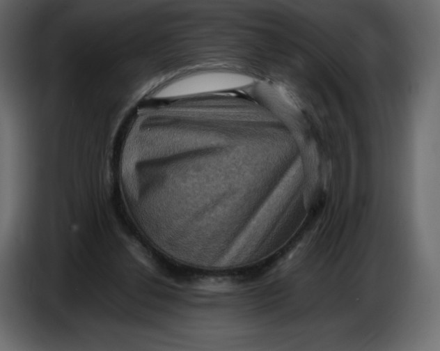 X0000086770252200705041514