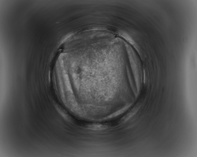 X0000086770253200705041514