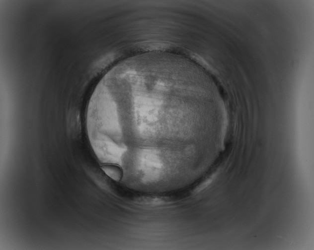 X0000086770254200705041514