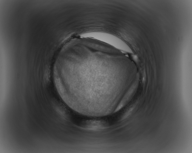 X0000086770255200705041514