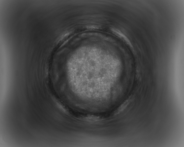 X0000086770257200705041514