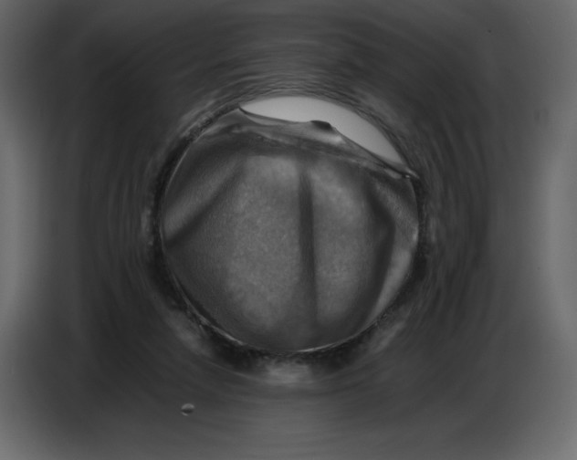 X0000086770258200705041514