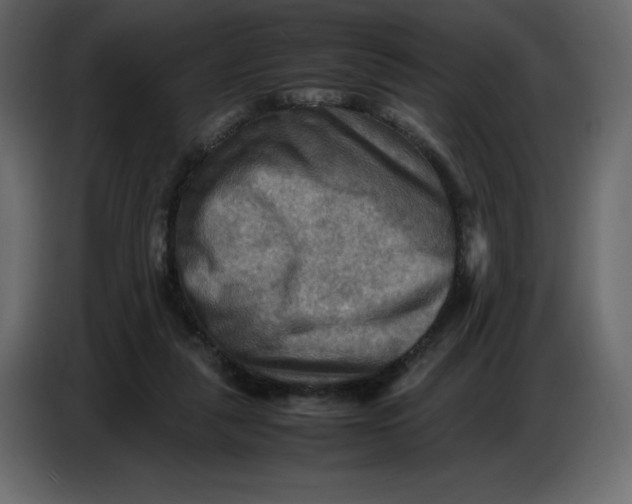 X0000086770259200705041514