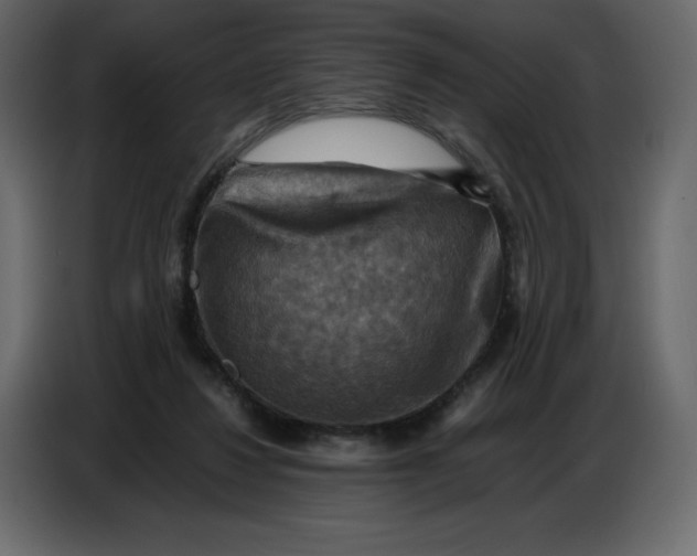 X0000086770260200705041514