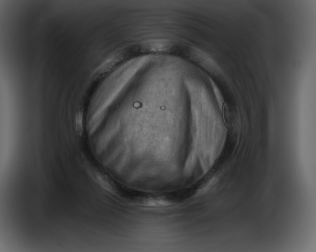 X0000086770262200705041514