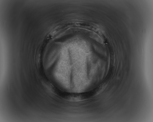 X0000086770263200705041514