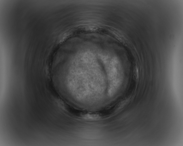 X0000086770270200705041514