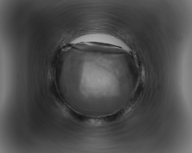X0000086770272200705041514