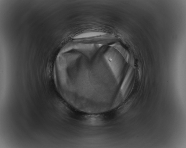 X0000086770273200705041514