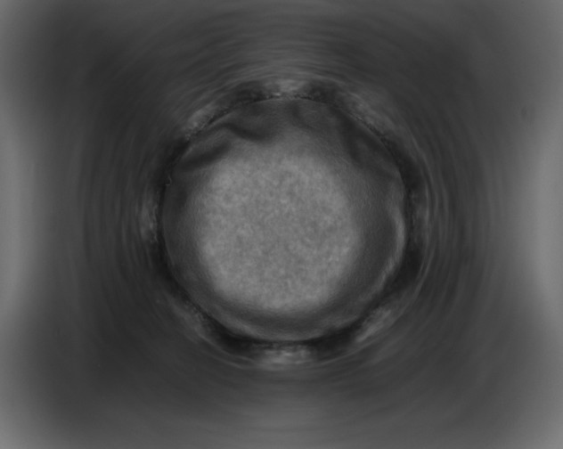 X0000086770274200705041514