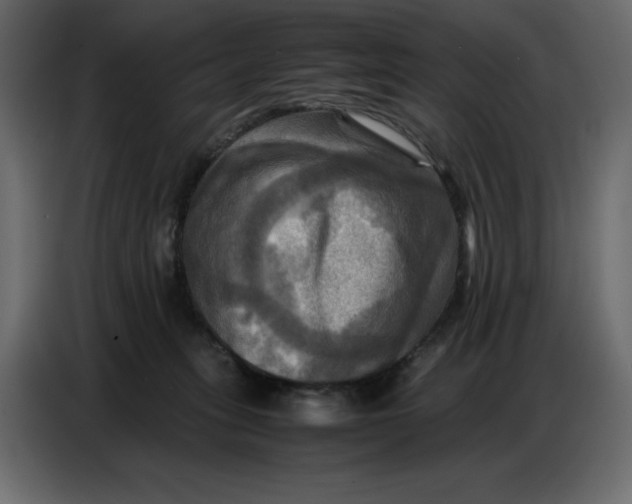X0000086770275200705041514