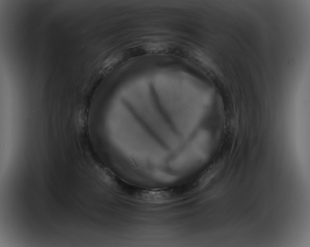 X0000086770277200705041514