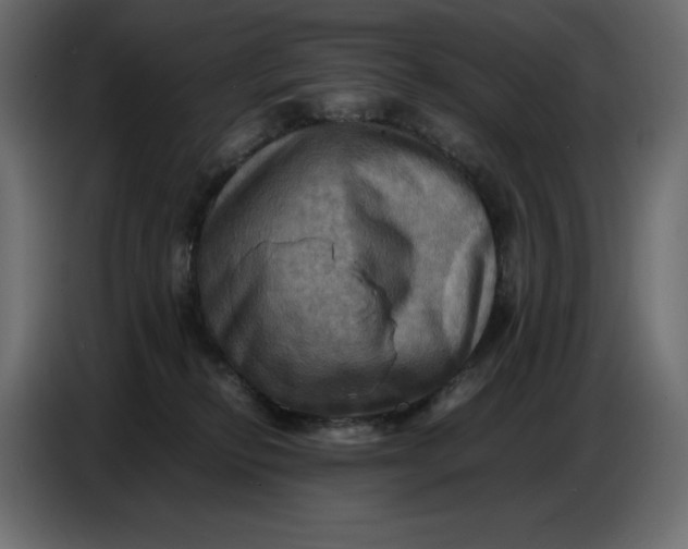 X0000086770278200705041514