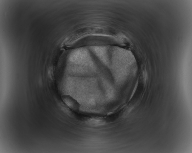 X0000086770280200705041514