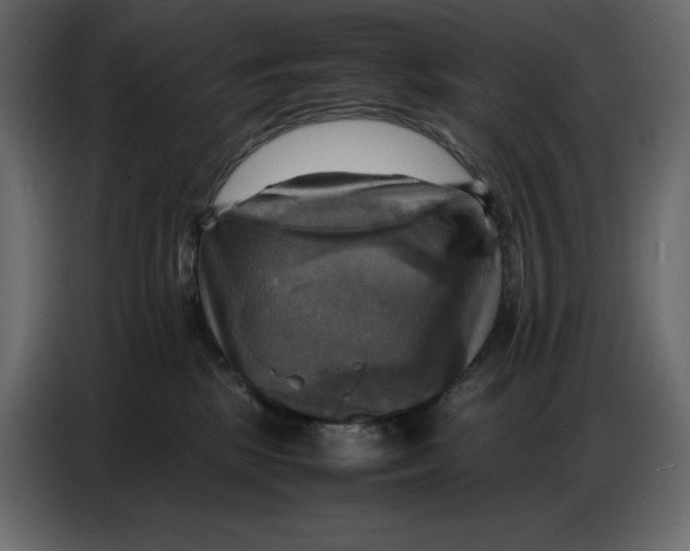 X0000086770281200705041514