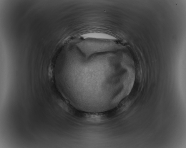 X0000086770282200705041514